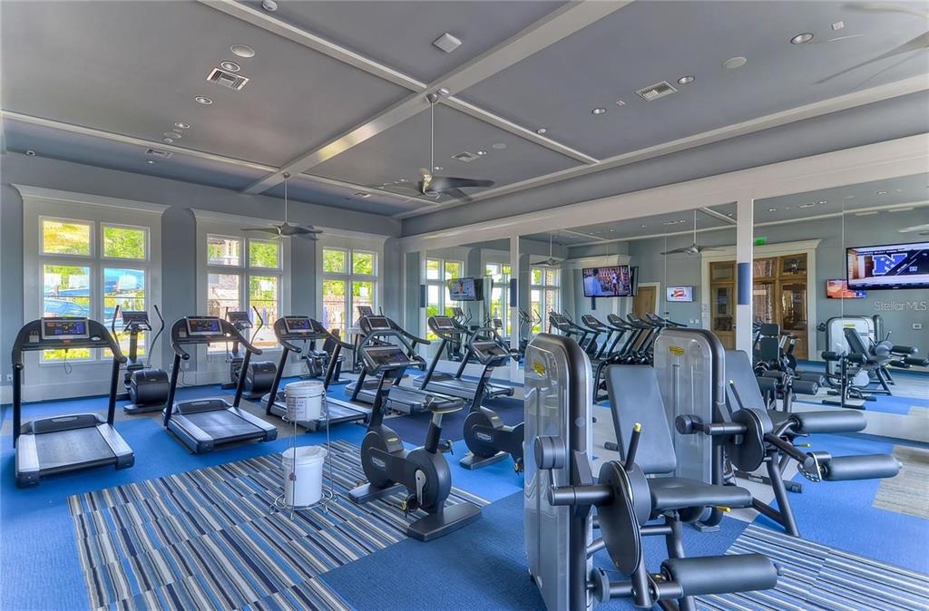 29241 Perilli Place Wesley Chapel, FL 33543 - Photo 51 of 53 a lots of gym equipment with wooden floors