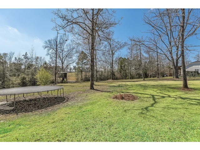 415 Dickeys Br Road Appling, GA 30802 - Photo 56 of 69 Back Yard
