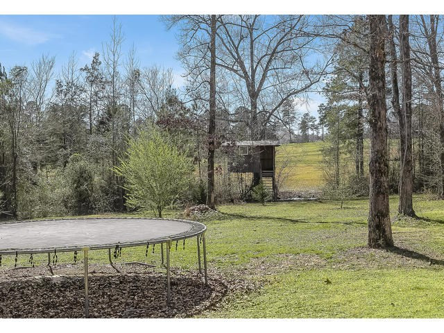 415 Dickeys Br Road Appling, GA 30802 - Photo 57 of 69 Tree House