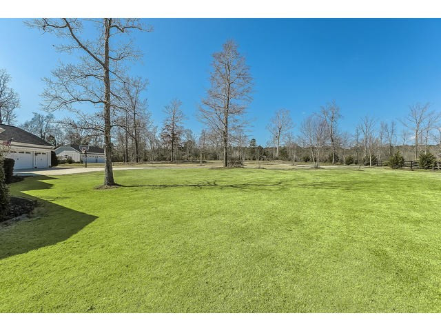 415 Dickeys Br Road Appling, GA 30802 - Photo 6 of 69 Front Yard