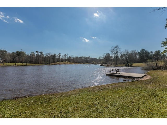 415 Dickeys Br Road Appling, GA 30802 - Photo 64 of 69 View Of Pond