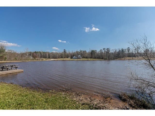 415 Dickeys Br Road Appling, GA 30802 - Photo 65 of 69 View Of Pond