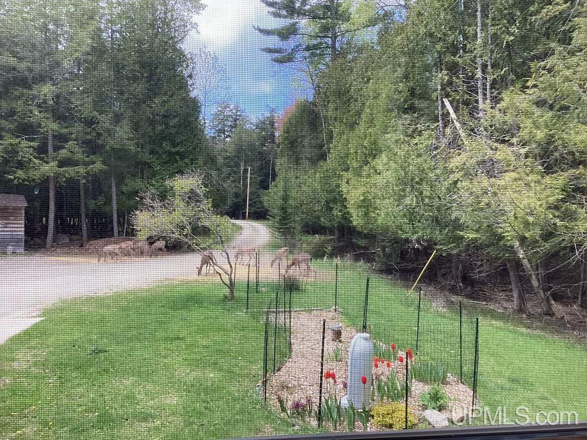 4318 K Road Bark River, MI 49807 - Photo 78 of 80 Gallery Image 78