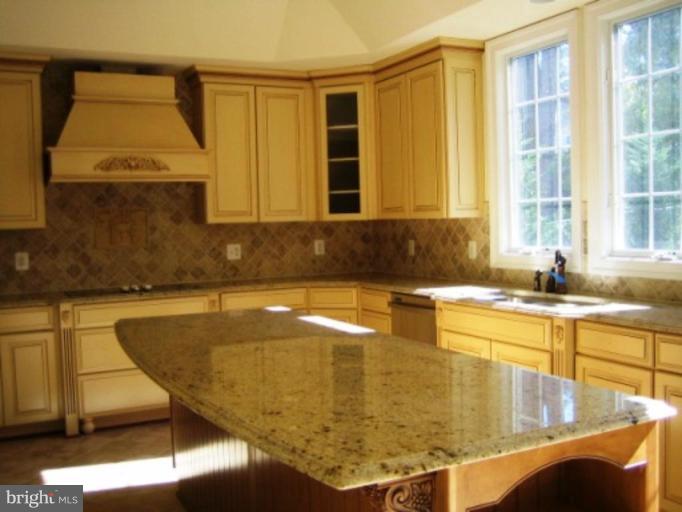 2919 Chain Bridge Road Oakton, VA 22124 - Photo 12 of 14 Kitchen