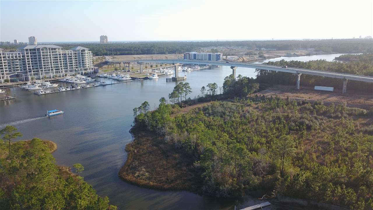 0 Baldwin Beach Expressway Orange Beach, AL 36561 - Photo 3 of 8