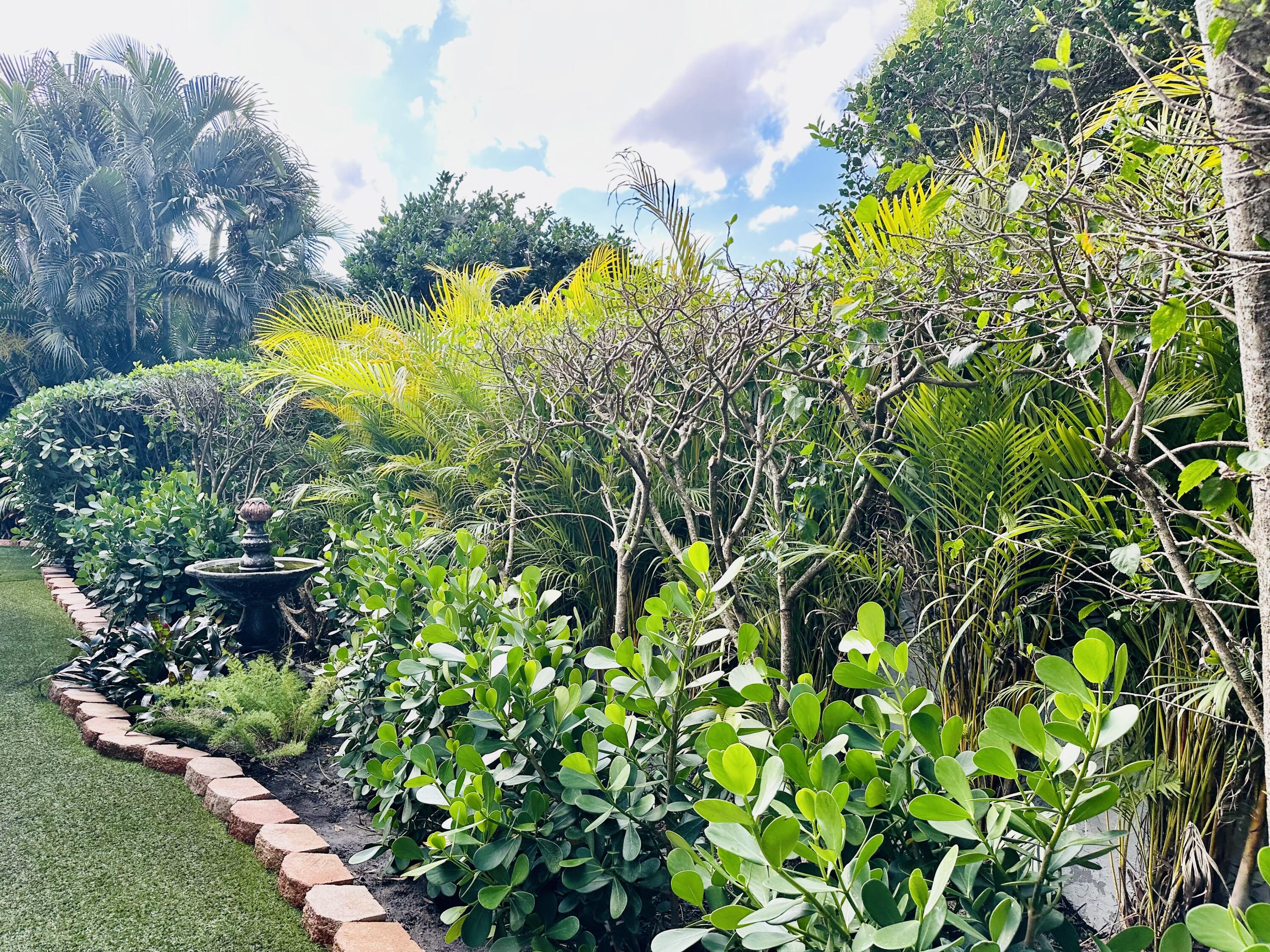 17204 Hampton Boulevard Boca Raton, FL 33496 - Photo 165 of 175 LUSCIOUS BACK