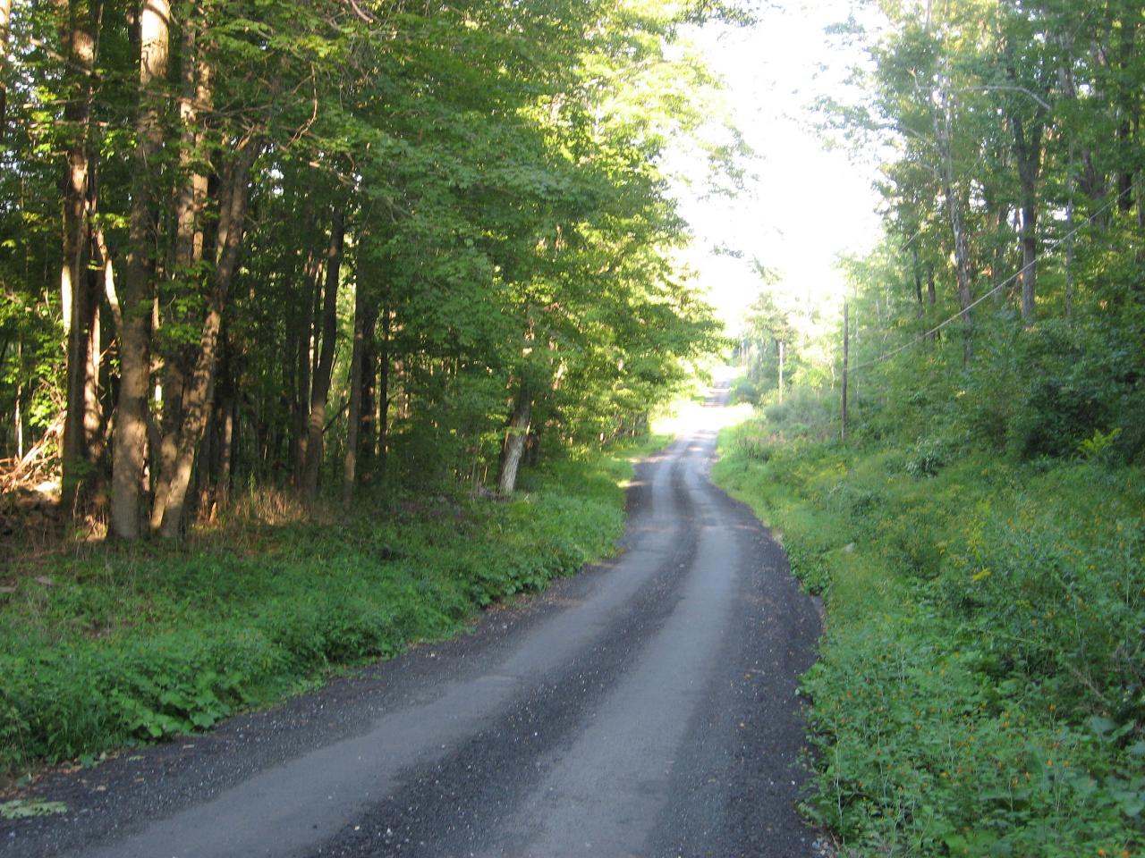 109 Silverbrook Road Sandisfield, MA 01255 - Photo 22 of 26 a view of a street with a trees in the background