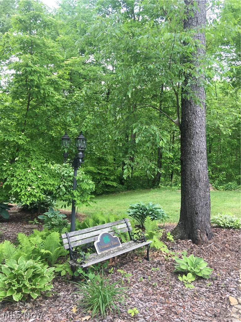 9292 Trail Bottom Road Northwest Dundee, OH 44624 - Photo 11 of 34 Gallery Image 11