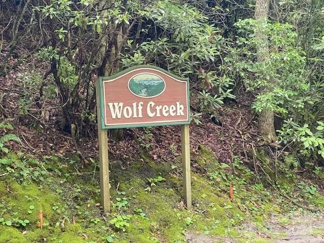 $49,000 | 25 Rainbow Trout Drive, Unit 25, Tuckasegee, NC 28783