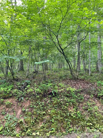 a view of backyard with green space