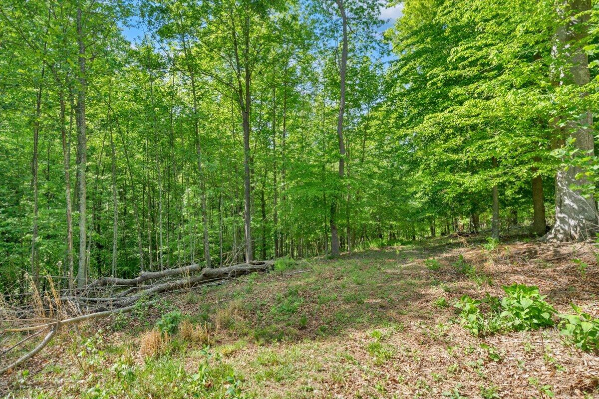 0 Somerset Cove Road Union Hall, VA 24176 - Photo 29 of 34 a view of a yard with a trees