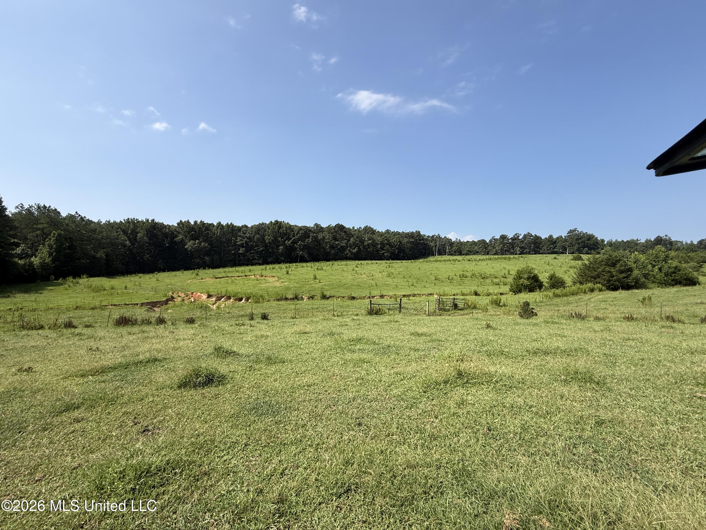 Monte Vista Road Eupora, MS 39744 - Photo 20 of 54 IMG_6414