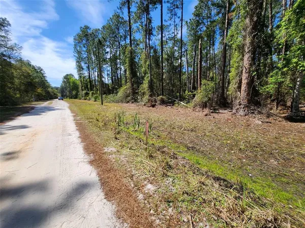 $17,000 | 112 Mosswood Street, Georgetown, FL 32139