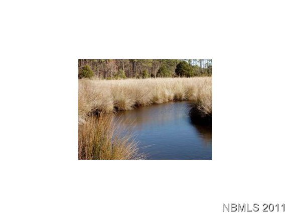 5690 Straight Road Oriental, NC 28571 - Photo 1 of 3 Primary Photo
