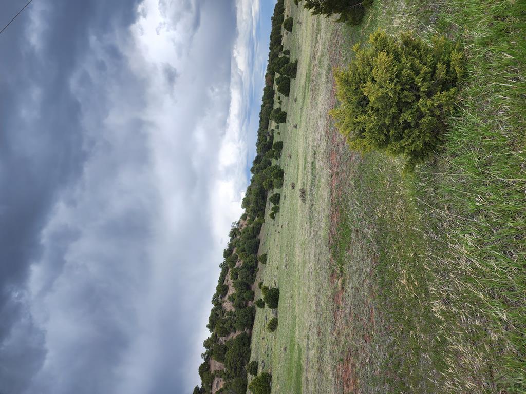 Tbd Tbd Commanche Road Walsenburg, CO 81089 - Photo 14 of 17 Gallery Image 14