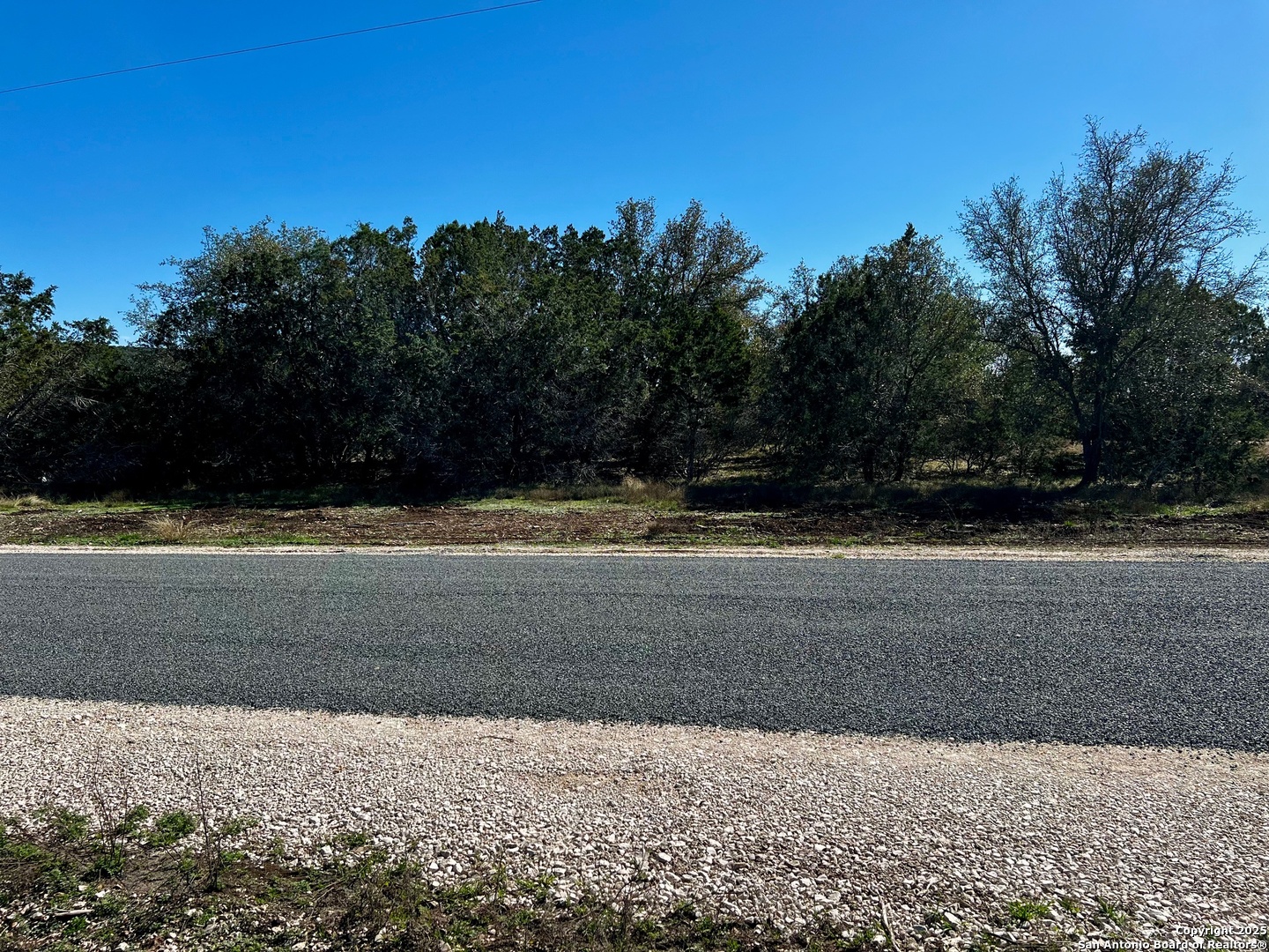235 Madrone Concan, TX 78838 - Photo 2 of 11 a view of yard with swimming pool and trees in the background