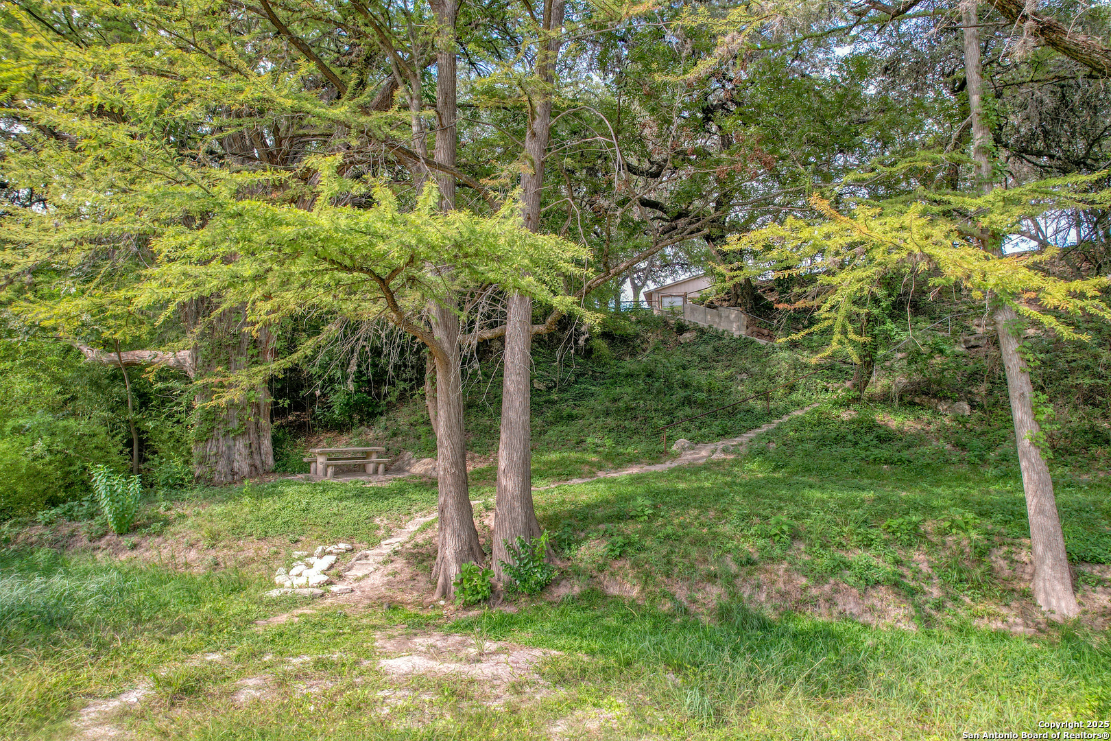 235 Madrone Concan, TX 78838 - Photo 9 of 9 a view of a tree in a yard