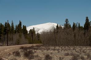 91 Wild Rye Road Fairplay, CO 80440 - Photo 1 of 13 Gallery Image 1