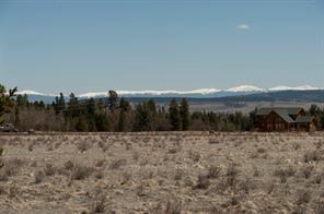 91 Wild Rye Road Fairplay, CO 80440 - Photo 2 of 13 Gallery Image 2