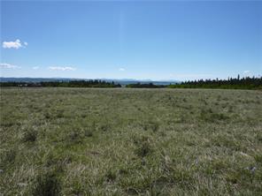 91 Wild Rye Road Fairplay, CO 80440 - Photo 11 of 13 Gallery Image 11