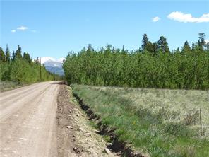 91 Wild Rye Road Fairplay, CO 80440 - Photo 13 of 13 Gallery Image 13