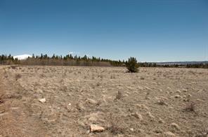 91 Wild Rye Road Fairplay, CO 80440 - Photo 4 of 13 Gallery Image 4