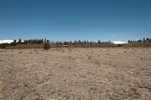 91 Wild Rye Road Fairplay, CO 80440 - Photo 5 of 13 Gallery Image 5