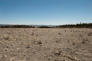 91 Wild Rye Road Fairplay, CO 80440 - Photo 7 of 13 Gallery Image 7