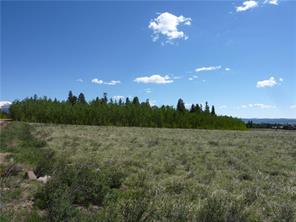 91 Wild Rye Road Fairplay, CO 80440 - Photo 10 of 13 Gallery Image 10