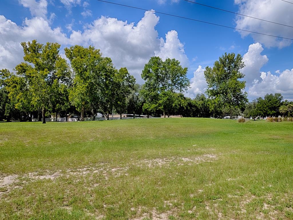 4438 River Ridge Drive Leesburg, FL 34748 - Photo 3 of 47
