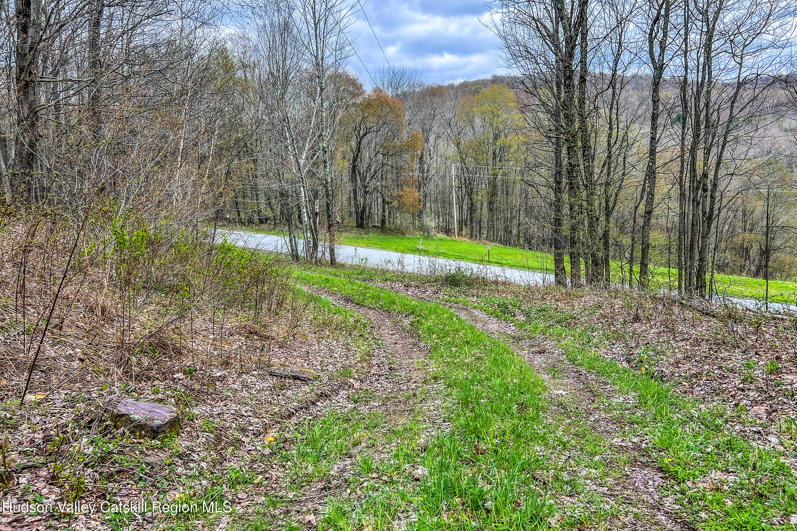 0 Brownell Road Bloomville, NY 13739 - Photo 5 of 39 23 acres Brownell Rd -- 003