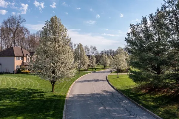 a view of a street both of side forest