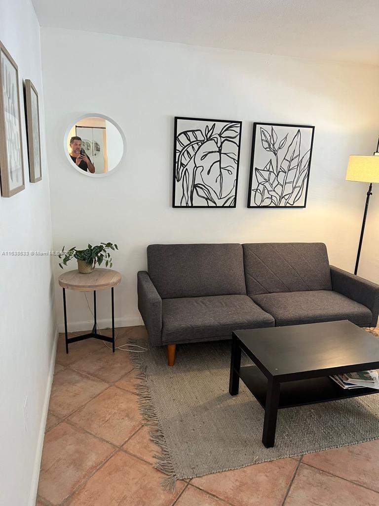 820 3rd Street, Unit 3 Miami Beach, FL 33139 - Photo 6 of 24 a living room with a couch and potted plant