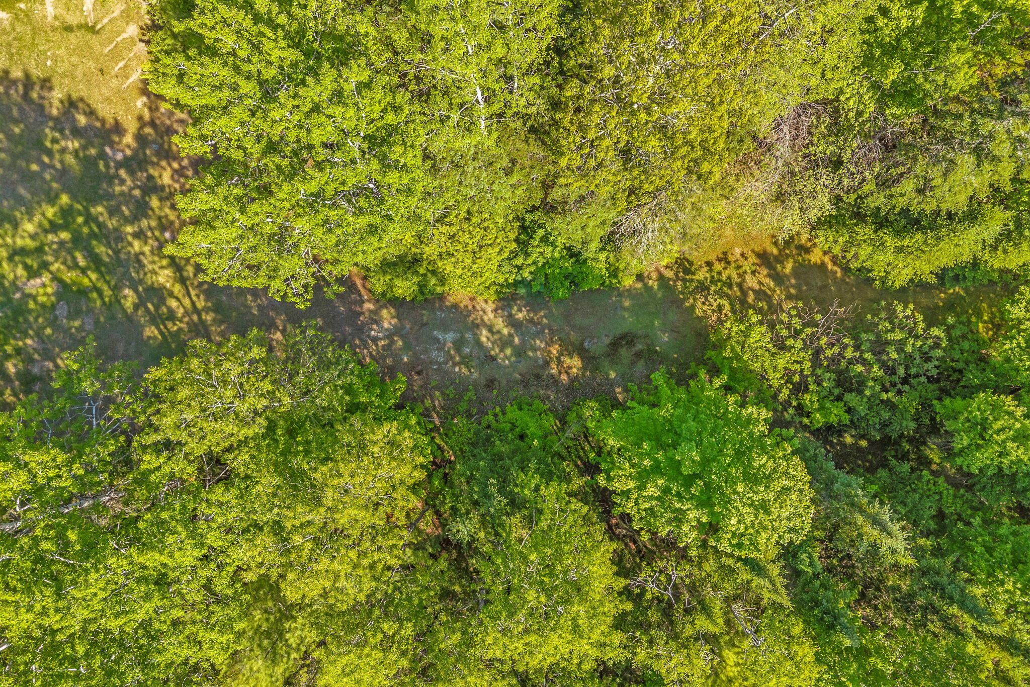 2392 Hudson Road Hudson, ME 04449 - Photo 56 of 77