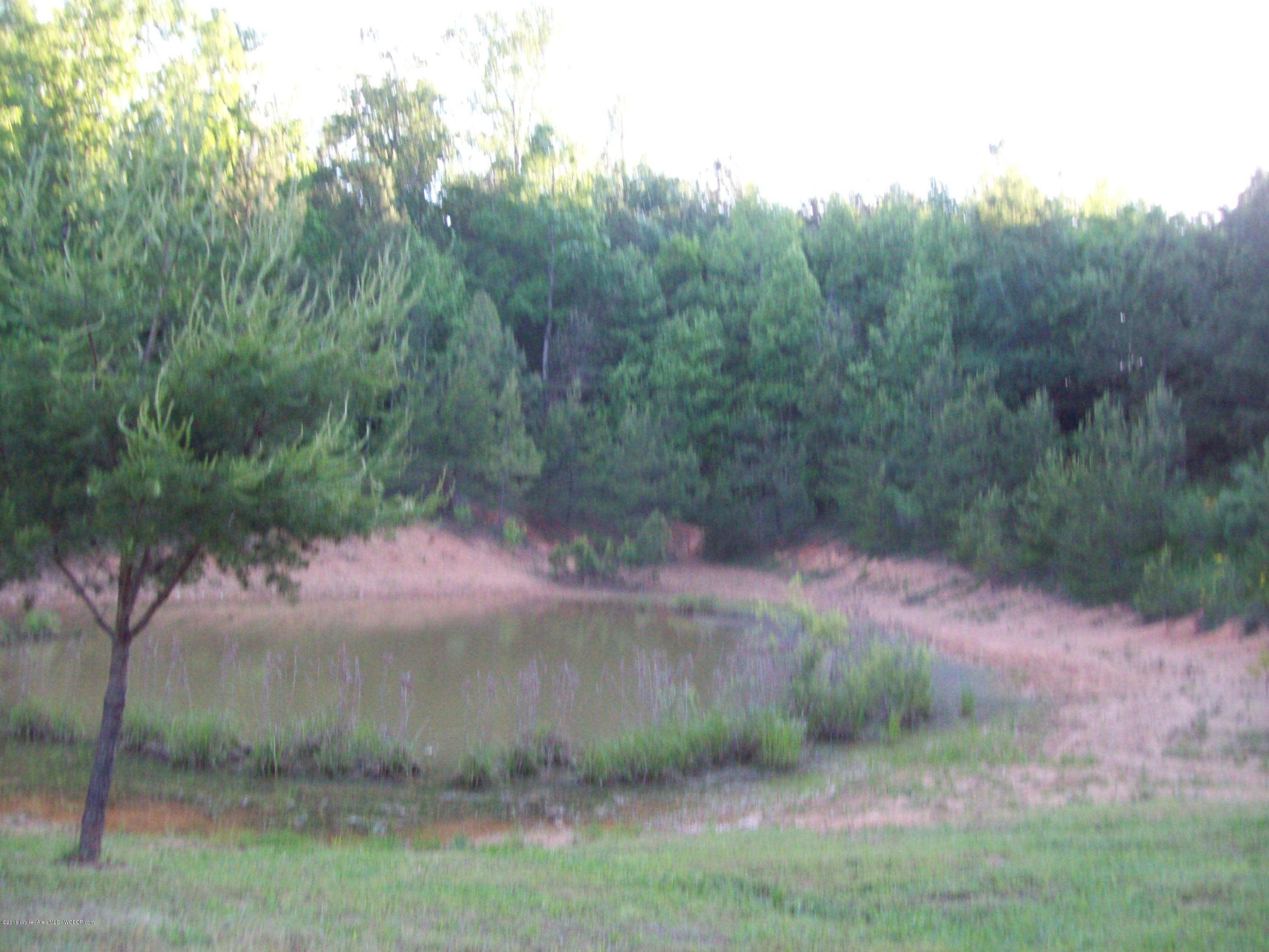 1844 Bethel Road Oakman, AL 35579 - Photo 4 of 17 Gallery Image 4
