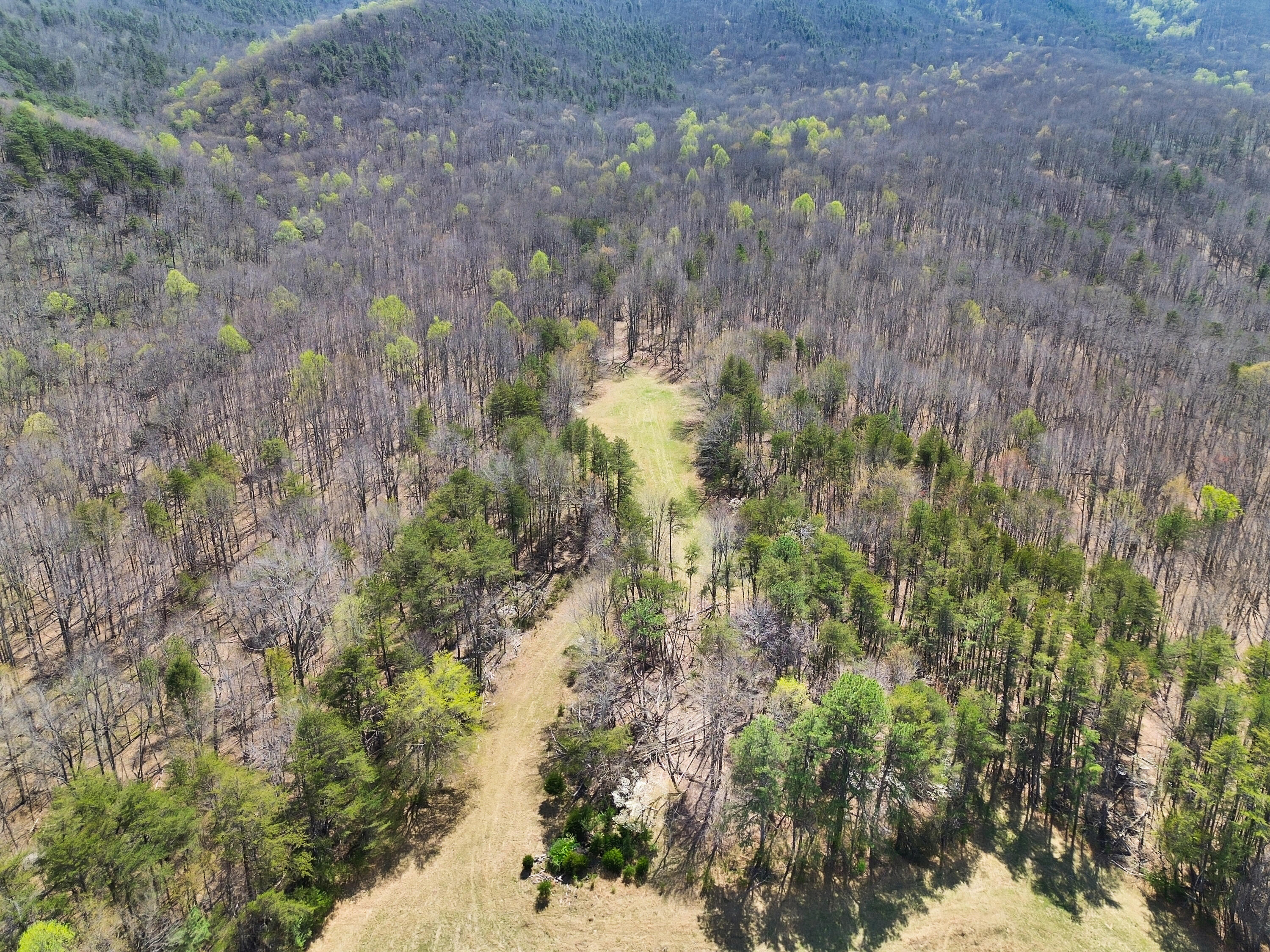 2816 Johns Creek Road New Castle, VA 24127 - Photo 29 of 76 DJI_0897