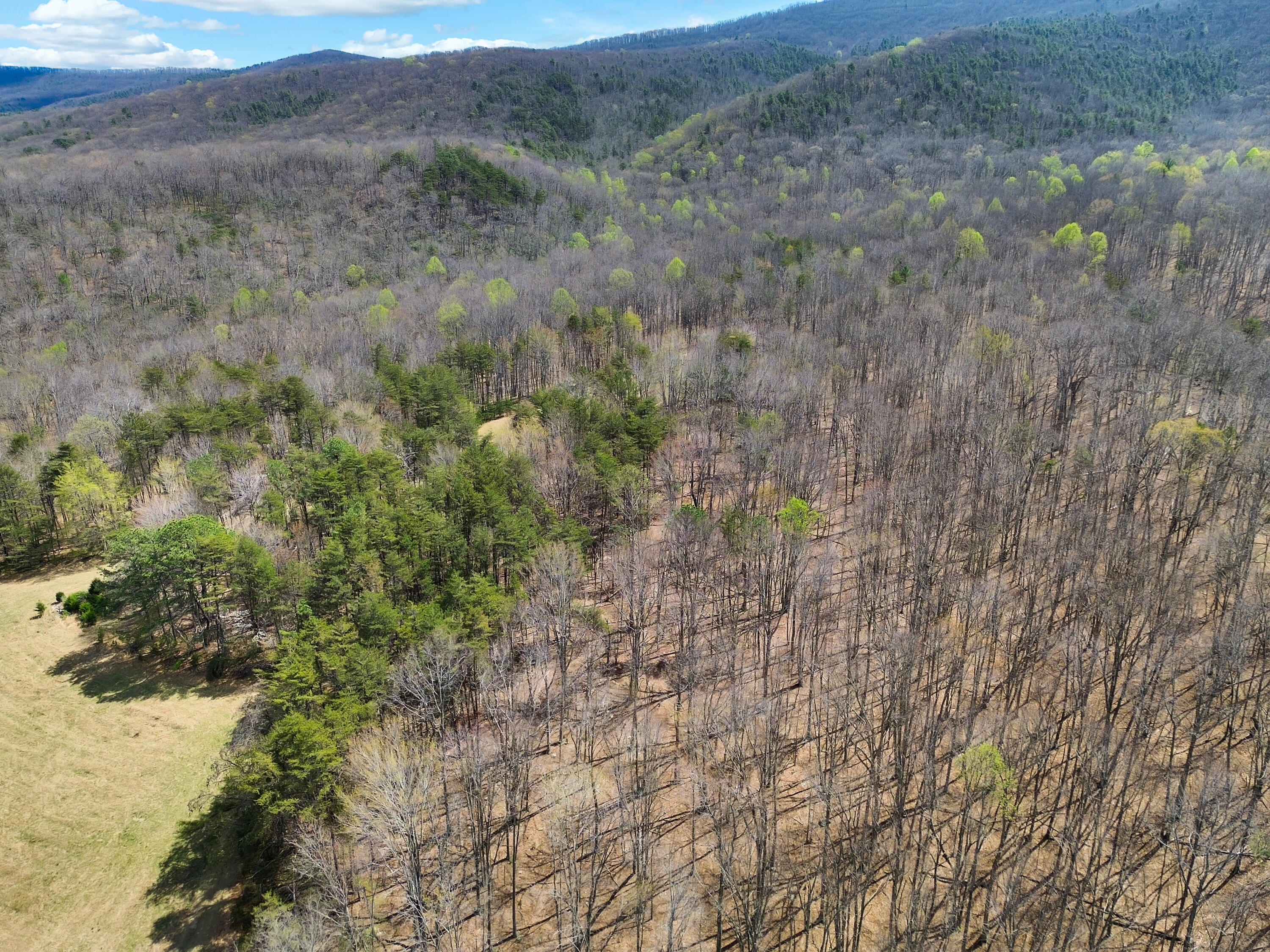 2816 Johns Creek Road New Castle, VA 24127 - Photo 33 of 76 a view of a dry field