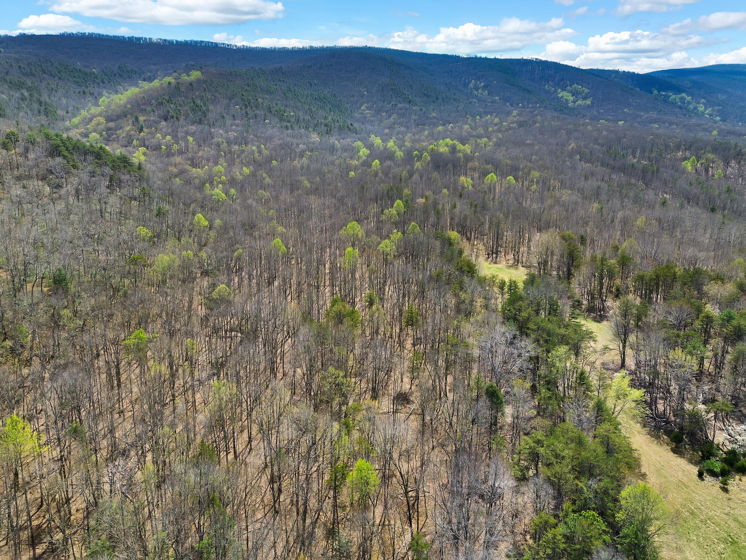 2816 Johns Creek Road New Castle, VA 24127 - Photo 34 of 76 DJI_0915