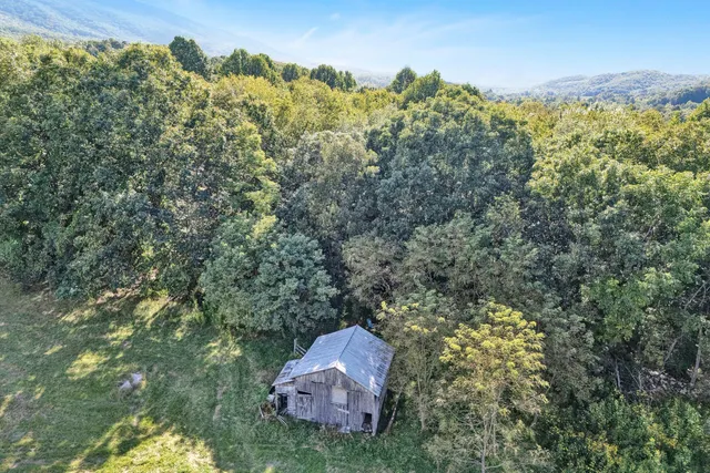 a view of a park with stairs