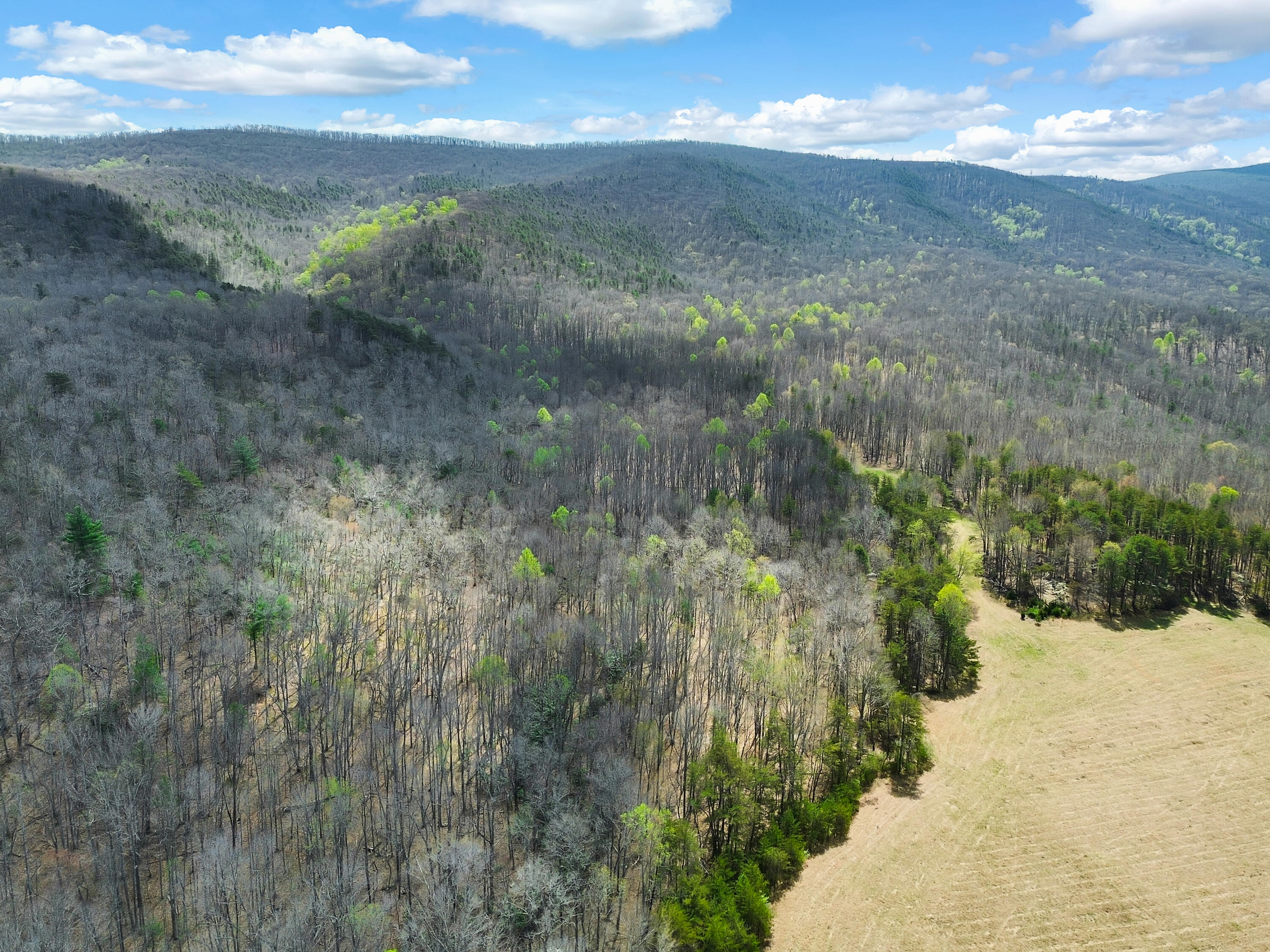 2816 Johns Creek Road New Castle, VA 24127 - Photo 39 of 76 DJI_0933