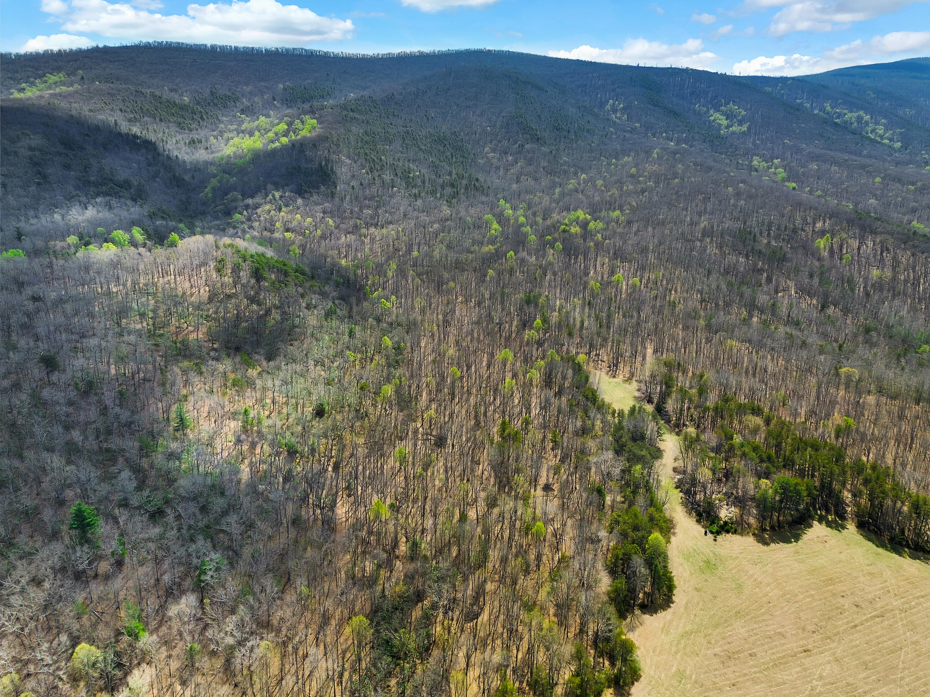 2816 Johns Creek Road New Castle, VA 24127 - Photo 40 of 76 DJI_0936