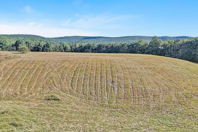 a view of a dry yard with green space