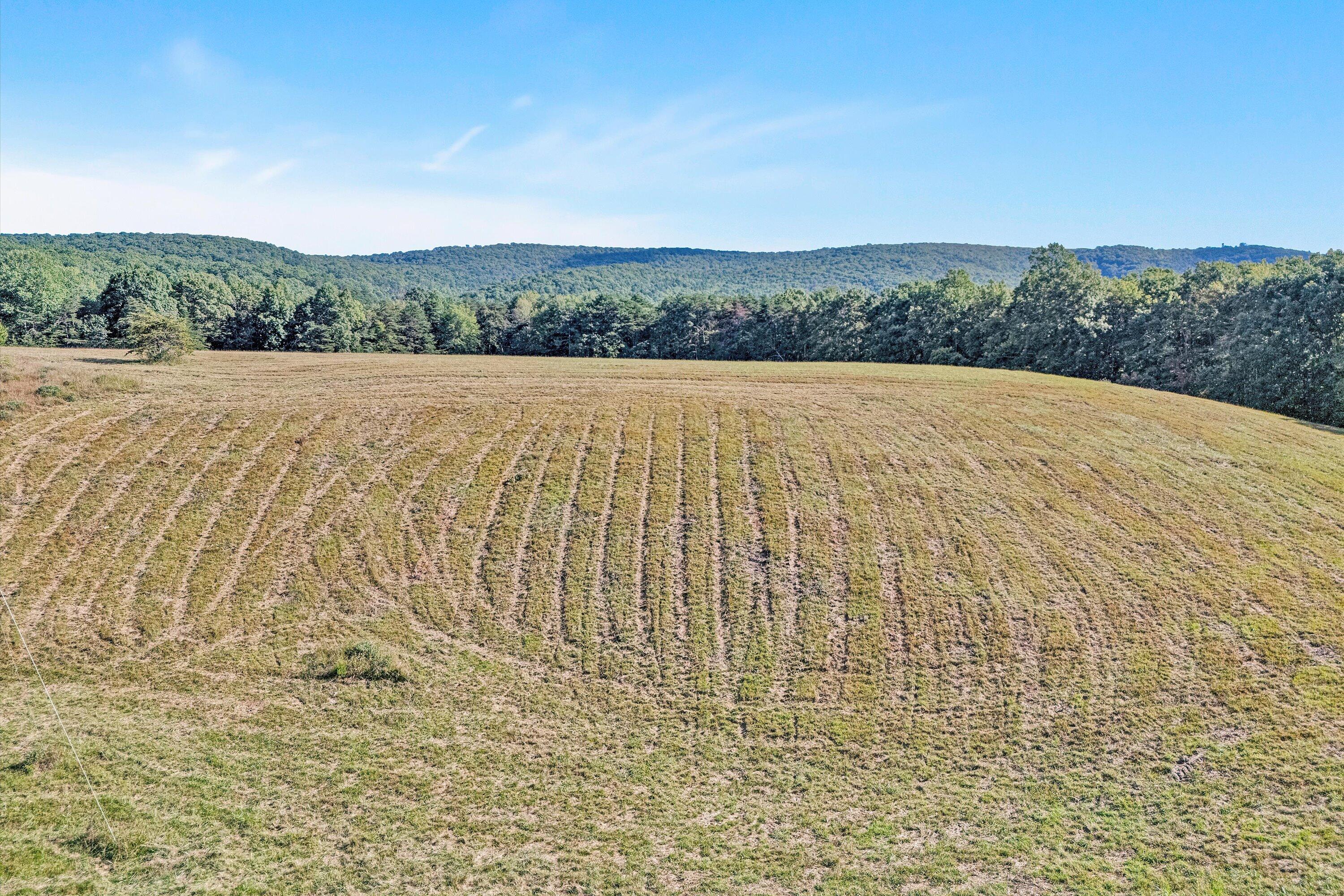 2816 Johns Creek Road New Castle, VA 24127 - Photo 4 of 40