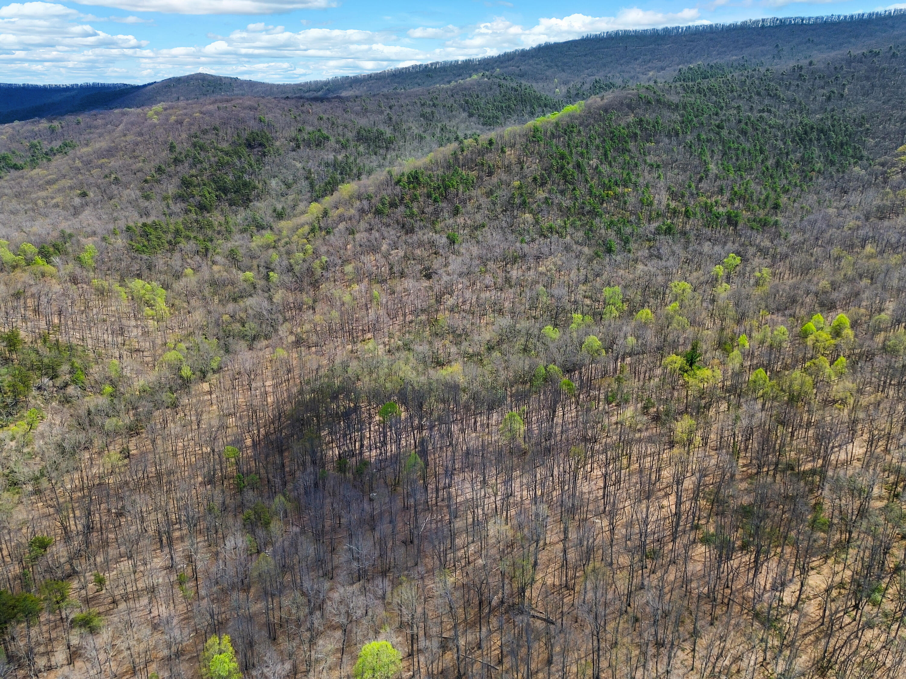 2816 Johns Creek Road New Castle, VA 24127 - Photo 43 of 76 DJI_0945