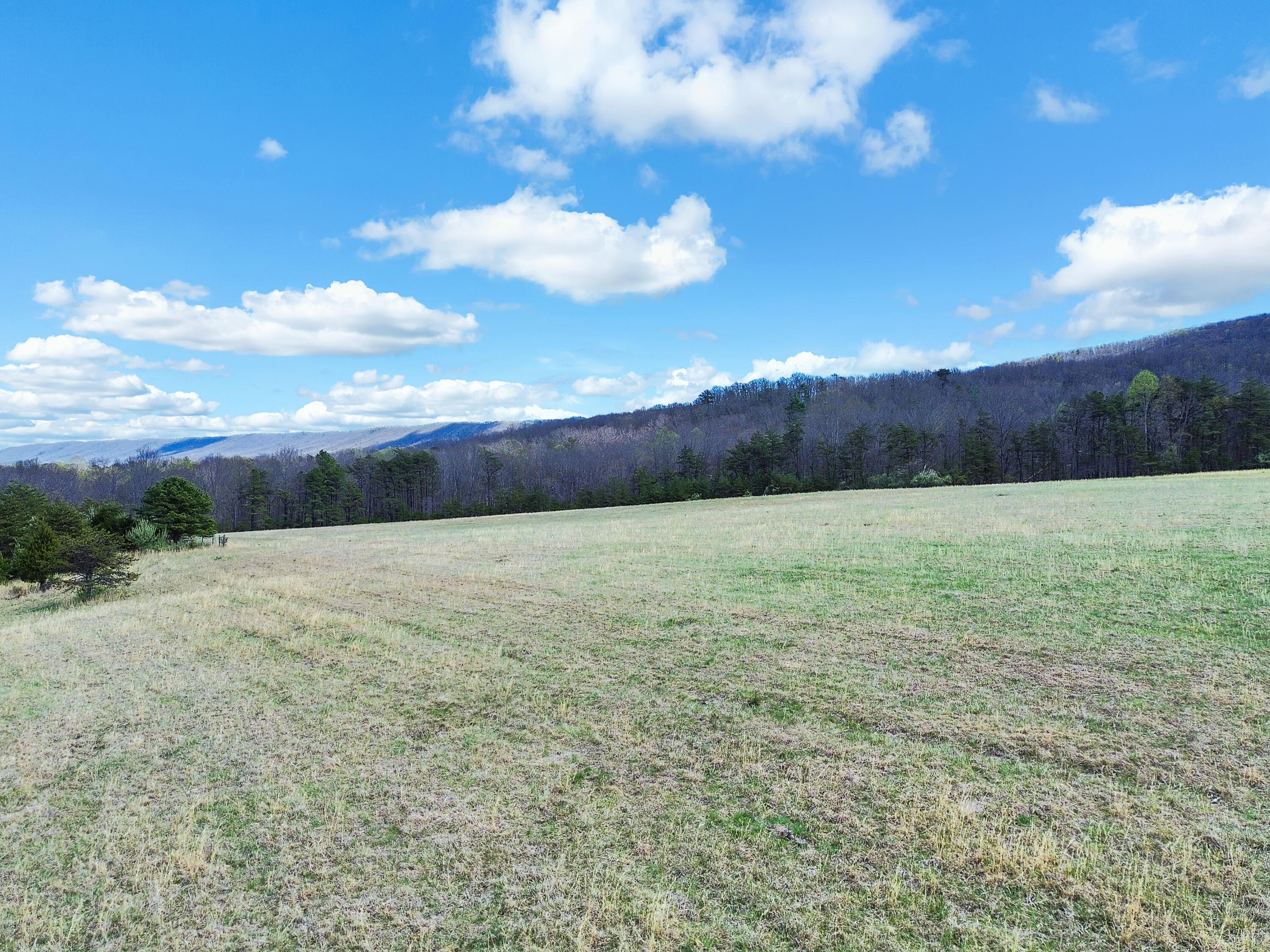 2816 Johns Creek Road New Castle, VA 24127 - Photo 49 of 76 a view of an outdoor space and yard