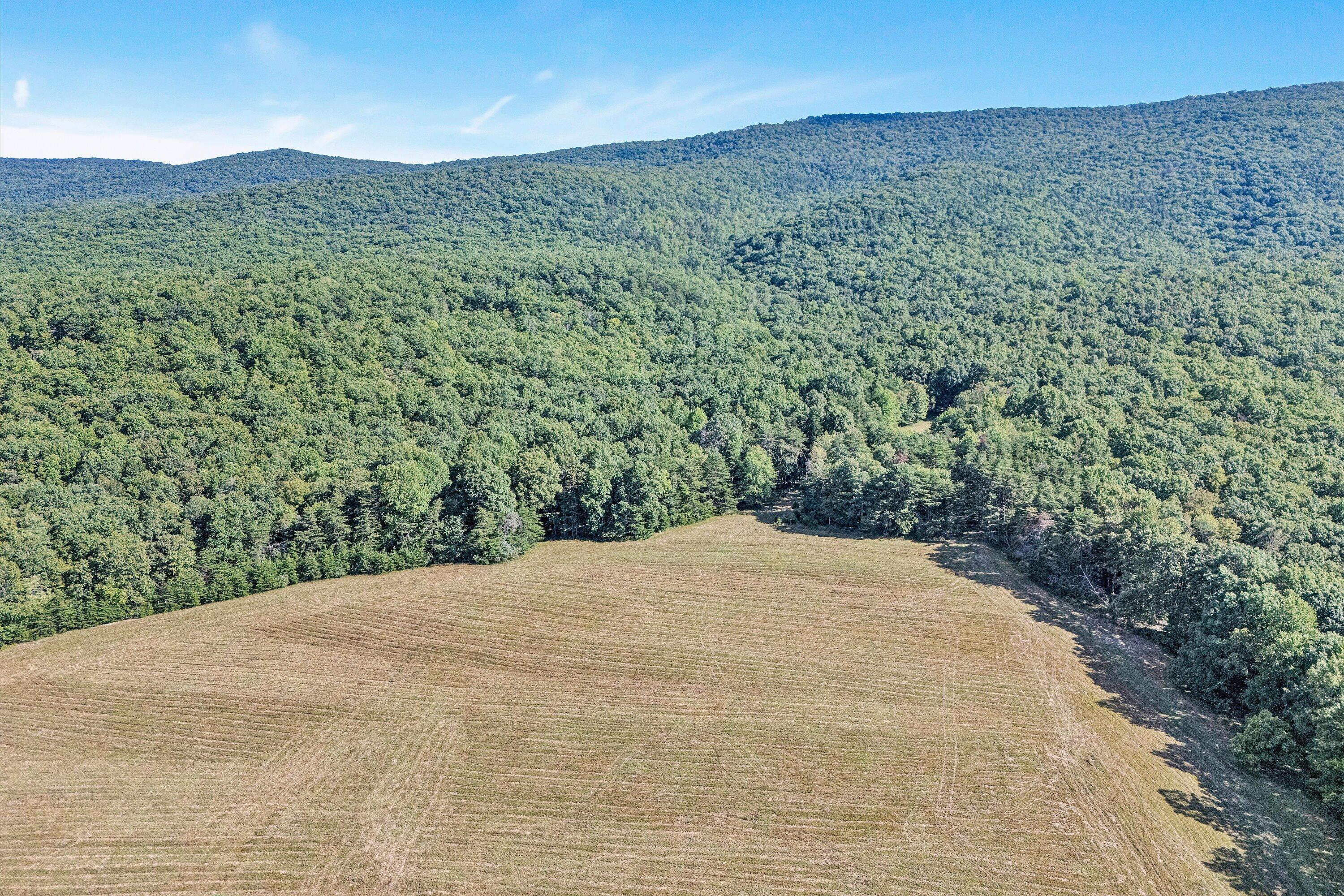 2816 Johns Creek Road New Castle, VA 24127 - Photo 5 of 40 a view of a dry yard with green space