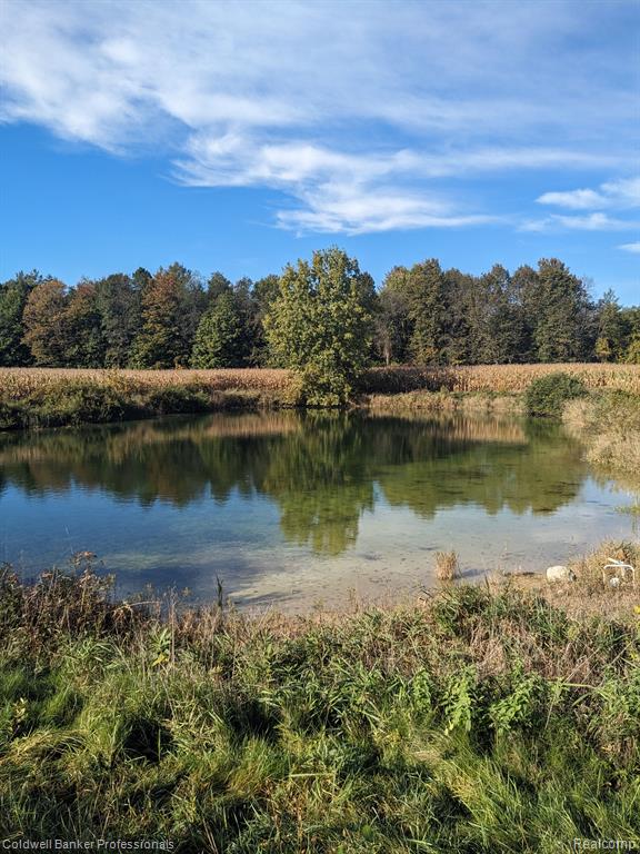 7168 Willis Road Brown City, MI 48416 - Photo 17 of 24