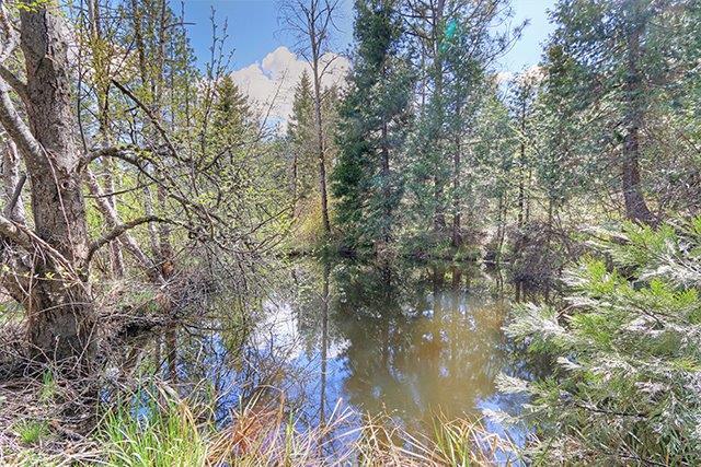 652 Gold Canyon Road Selma, OR 97538 - Photo 9 of 16 Additional Photo