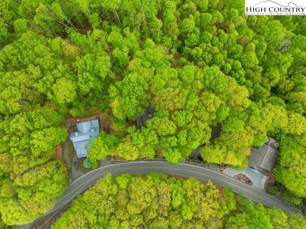 844 Pine Ridge Road Beech Mountain, NC 28604 - Photo 33 of 34 a view of a backyard with plants