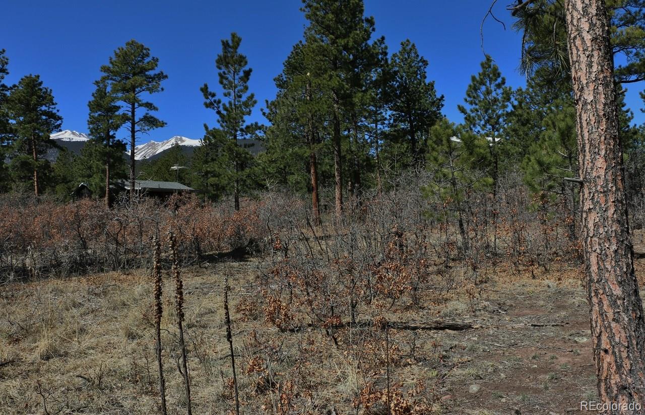 159 San Juan Road Westcliffe, CO 81252 - Photo 3 of 6 Gallery Image 3